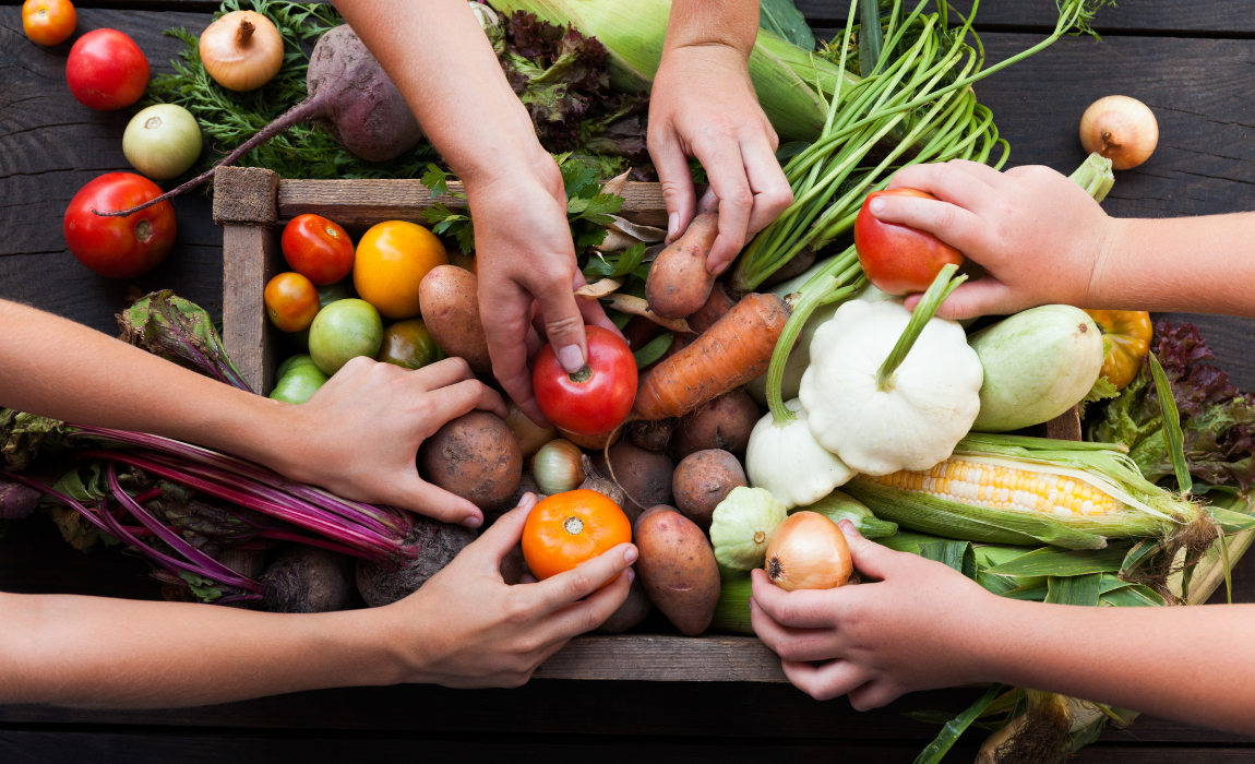 29 de Setembro – Dia Internacional de Conscientização sobre Perda e Desperdício de Alimentos: Entendendo e Agindo