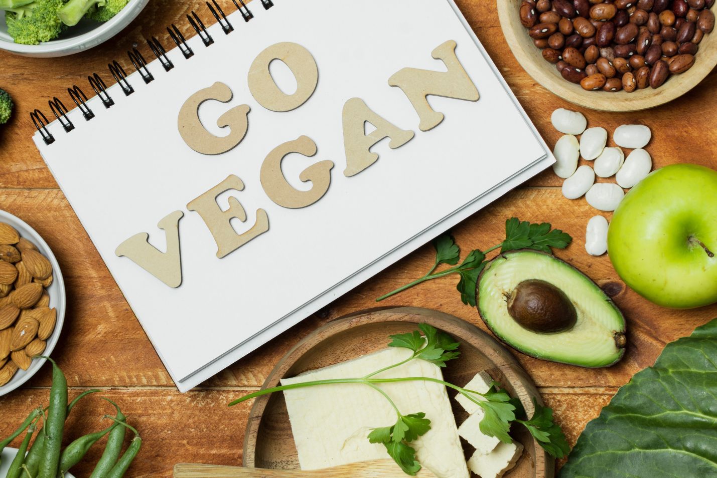 Vida Veg News: As novidades do universo vegano em 2024