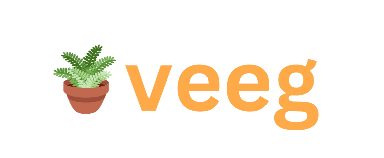 veeg.com.br