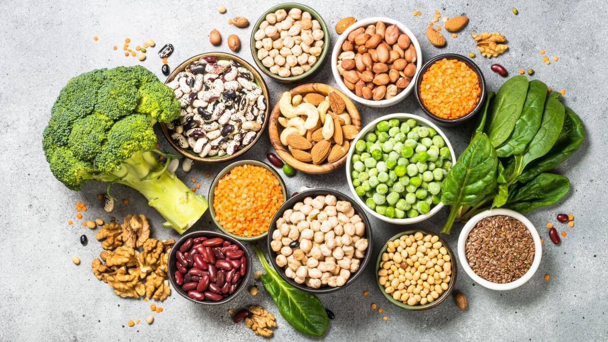 Benefícios da Proteína Vegetal para a Saúde