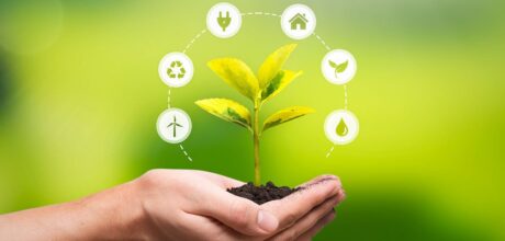 Como reduzir impacto ambiental com práticas sustentáveis