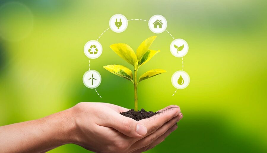 Como reduzir impacto ambiental com práticas sustentáveis